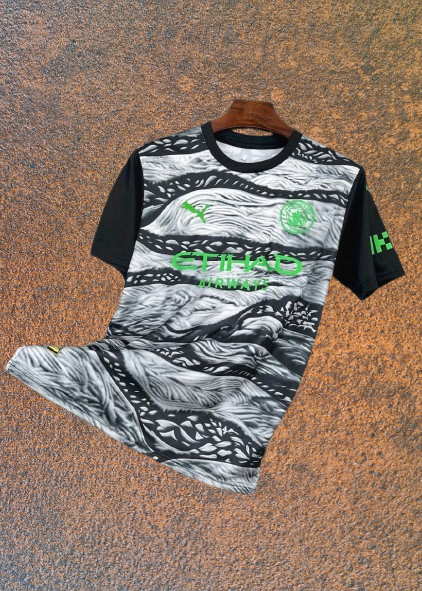 Tchirt de treino M.City 2025/26